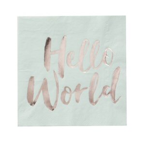 Hello World  Mint and Rose Gold Paper Napkins