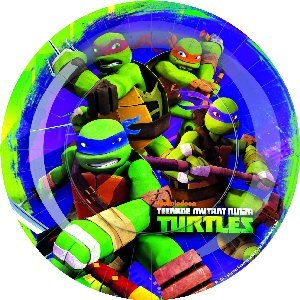 Teenage Mutant Ninja Turtles Party plates 23cm BBS
