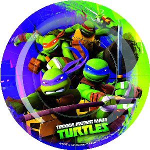 Teenage Mutant Ninja Turtles Party plates 18cm BBS