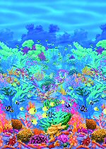 Room setter Coral Reef 670219