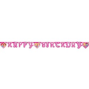 Disney Princess Happy Birthday Jointed Letter Banner
