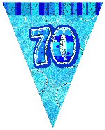 Glitz party blue flag banner