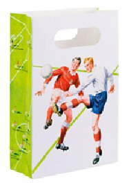 Ladybird football paper party supplies lootbags