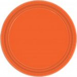 Pumpkin Orange Paper Plates 