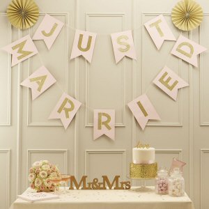 Pastel Perfection Just Married Flag Bunting