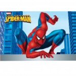 Spiderman Classic party invites