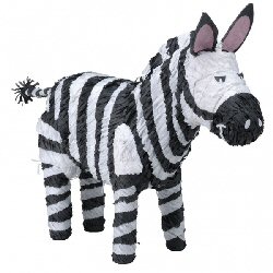 Zebra pinata yaotta